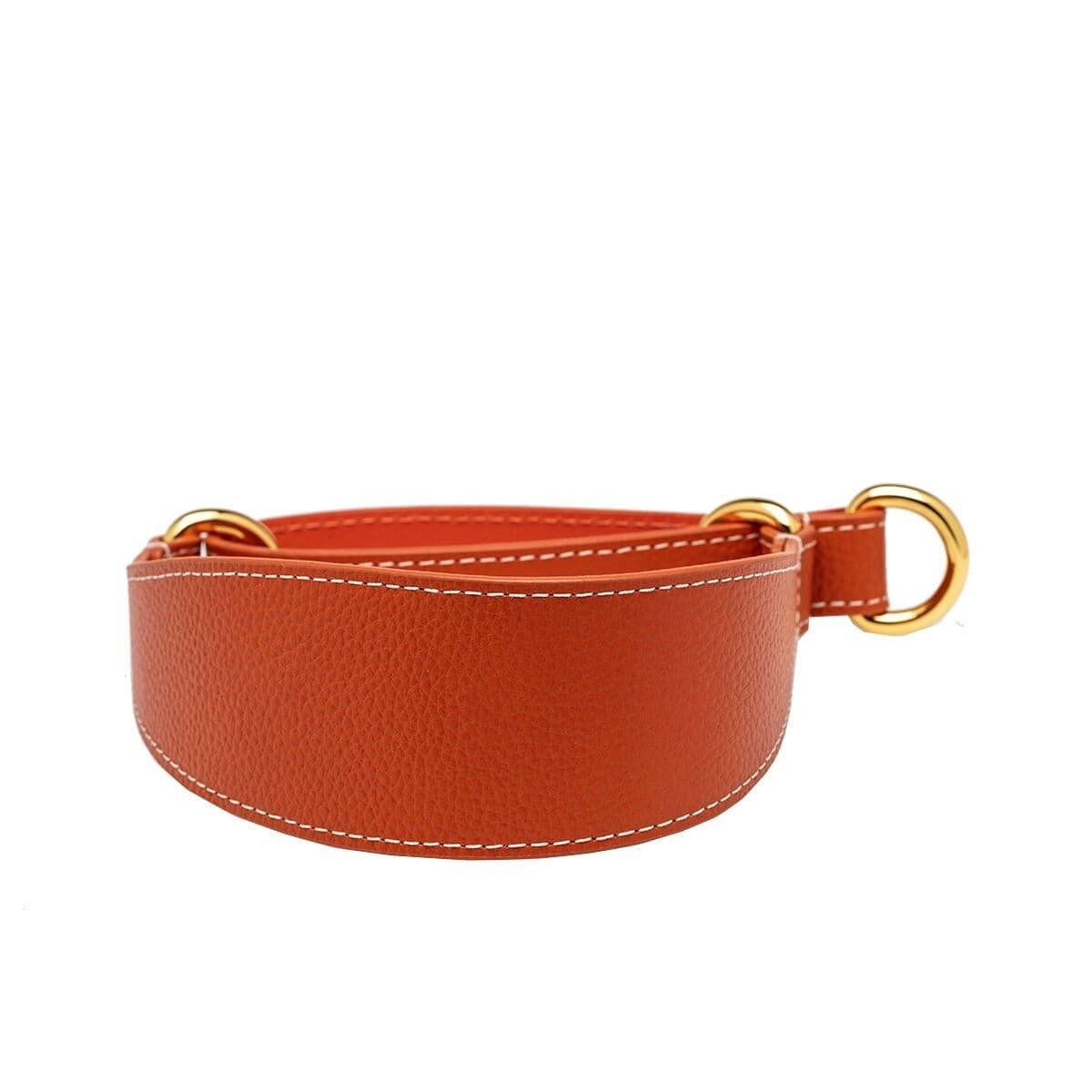 Koiran puolikiristävä panta Collar of Sweden, konjakki – Collar of Sweden