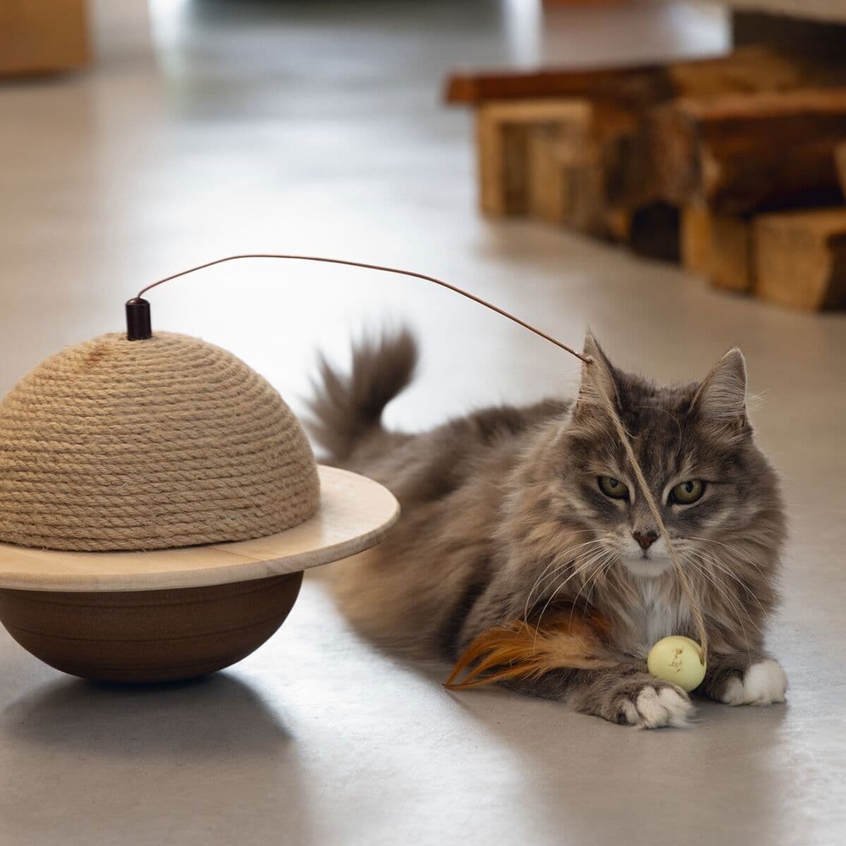 Designed by Lotte Puinen Kissan raapimapallo Wiggly – Designed by Lotte