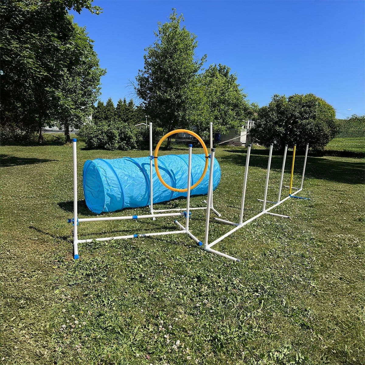 PetEasy Koiran agilityestesetti – PetEasy