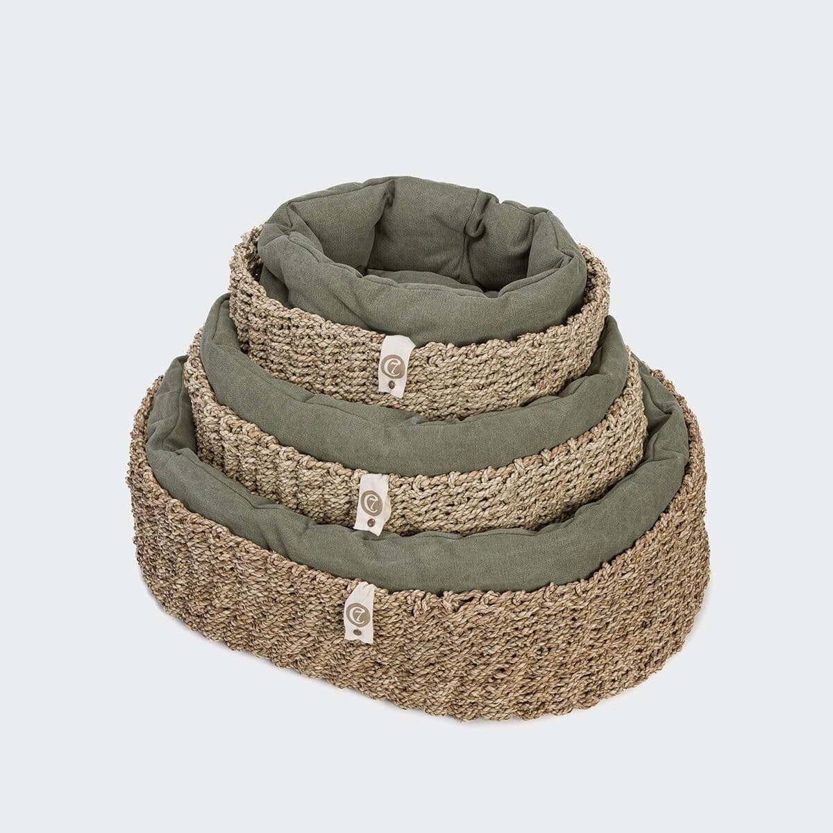 Koiran kori Cloud7 Lazy Canvas, oliivi – Cloud7