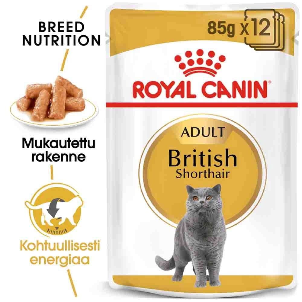 Royal Canin British Shorthair Wet 12 x 85g – Royal Canin