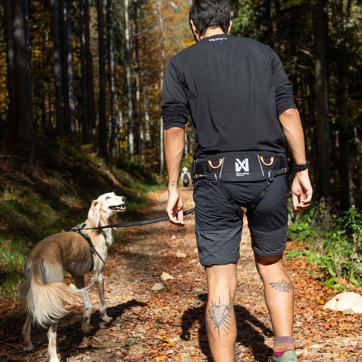 Non-Stop Trekking vetovyö 2.0 musta/harmaa – Non-stop dogwear