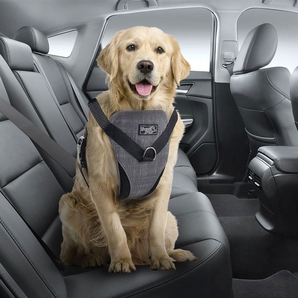 All For Paws koiran autovaljaat – All For Paws