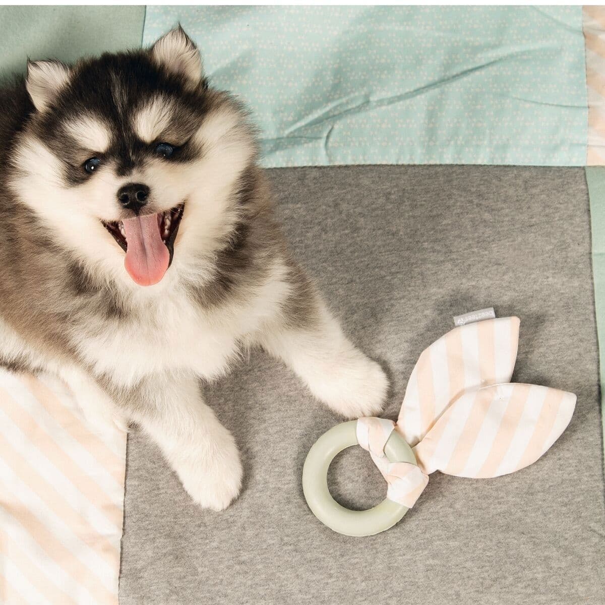 Beezteez Tjuwa pennun pururengas – Beeztees