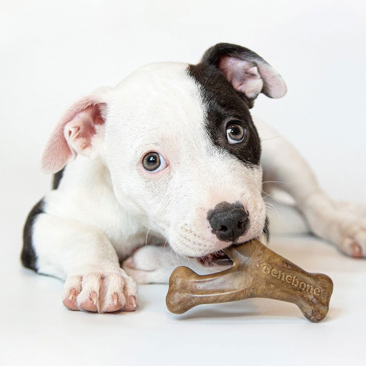 Benebone Puppy 2 kpl - Dental Chew/Wishbone Bacon Tiny – Benebone