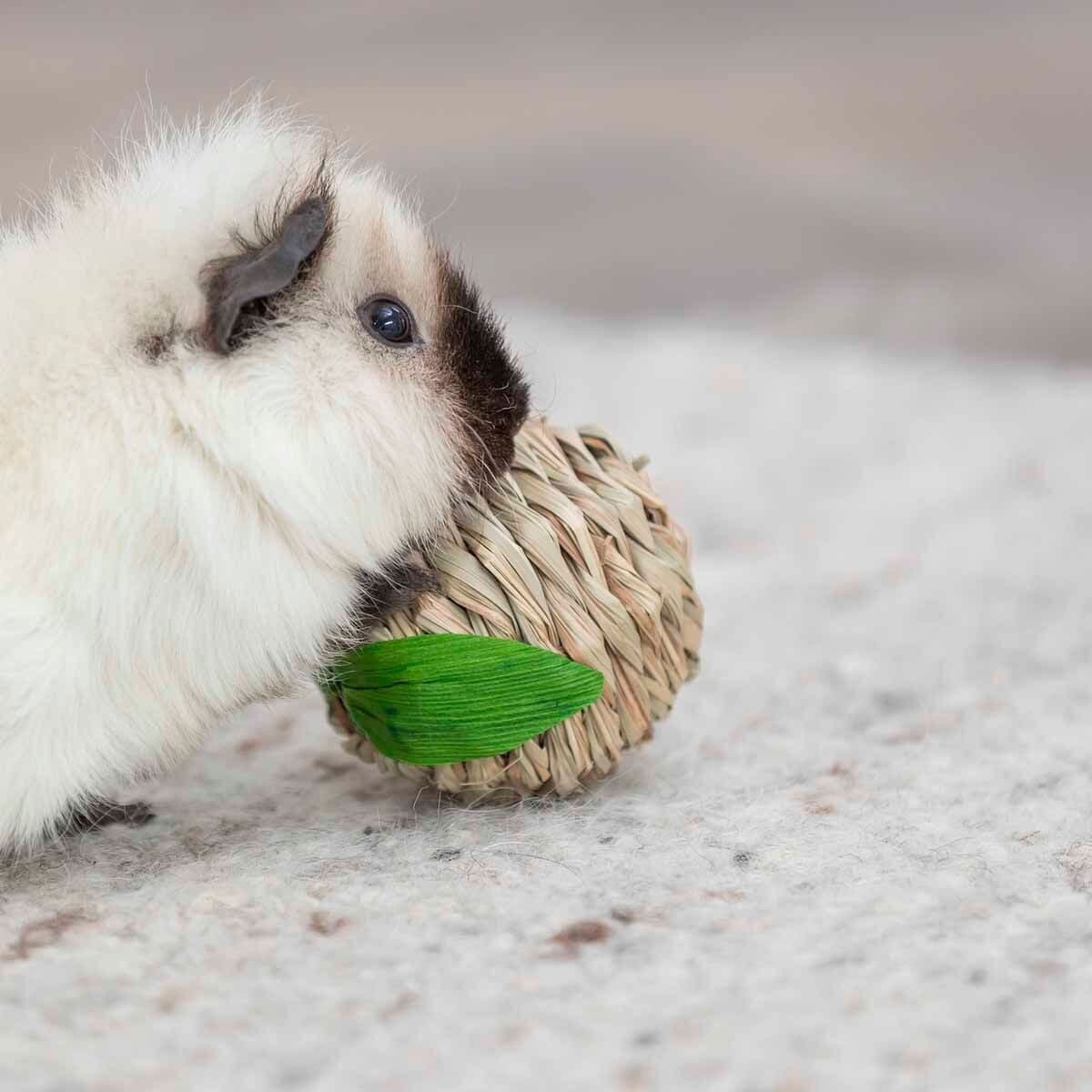 Trixie Ruohopallo-omena 7 cm – Trixie