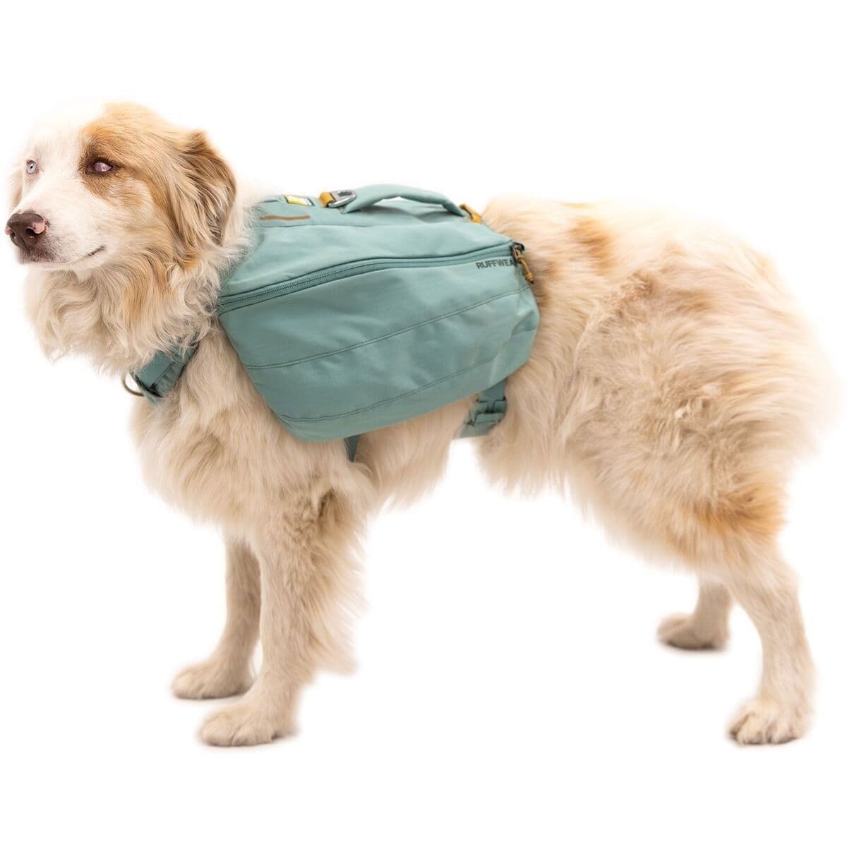 Koiranreppu Ruffwear Front Range, River Rock Green – RuffWear