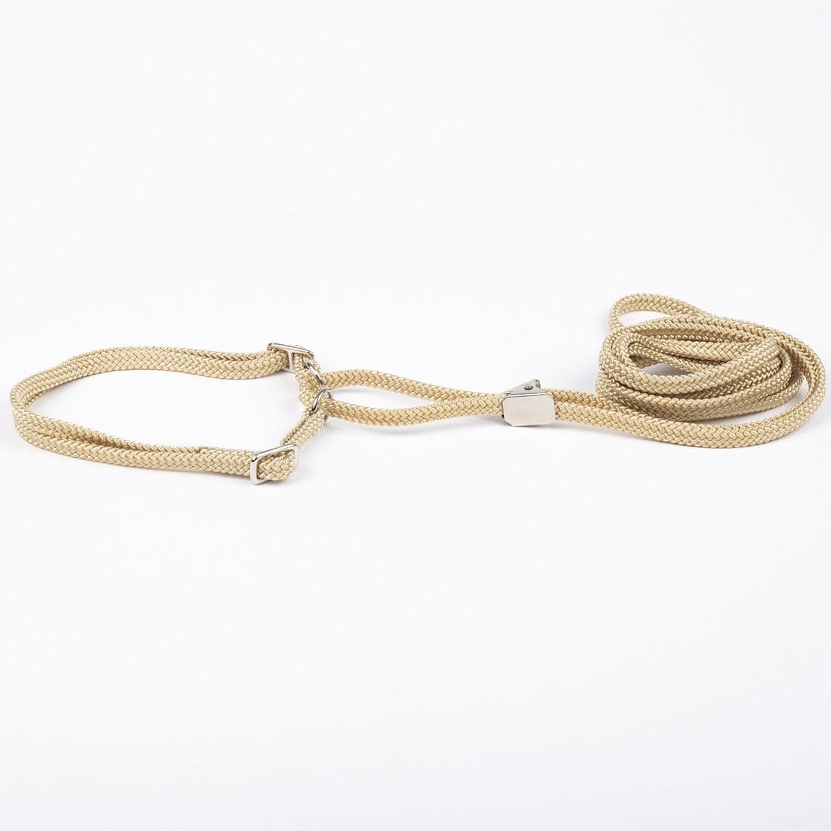 Näyttelyhihna Show Dog pk, beige – Show Dog