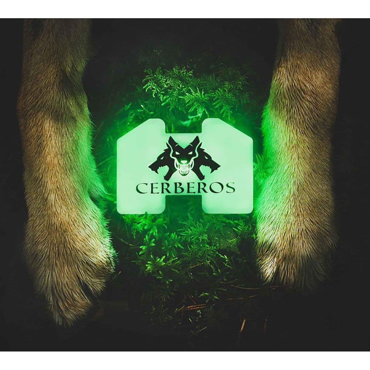 Cerberos huomiovalo – Cerberos
