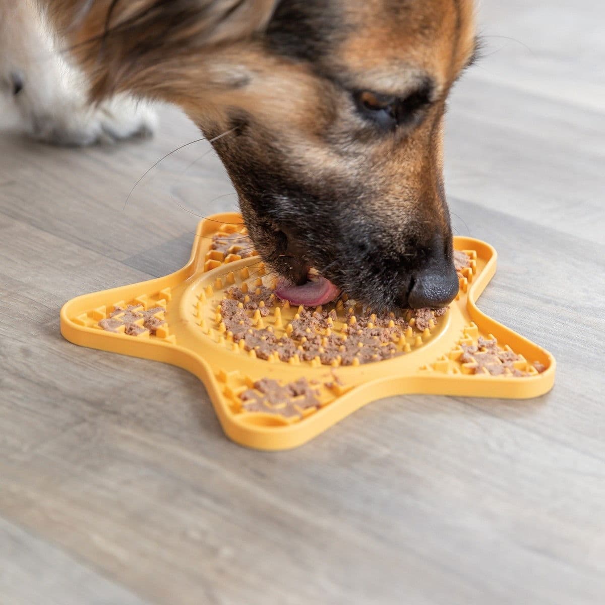 Nuolumatto koiralle Trixie Lick'n'Snack, 23,5 cm – Trixie