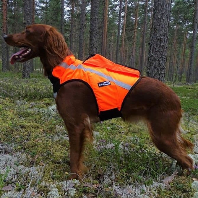 GPS-huomioliivi Inari, Kardog – Kardog