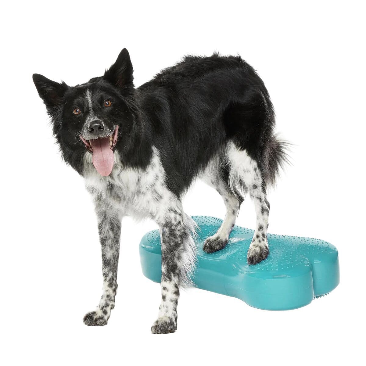 FitPaws K9FitBone, 58 x 29 x 10 cm – FitPaws
