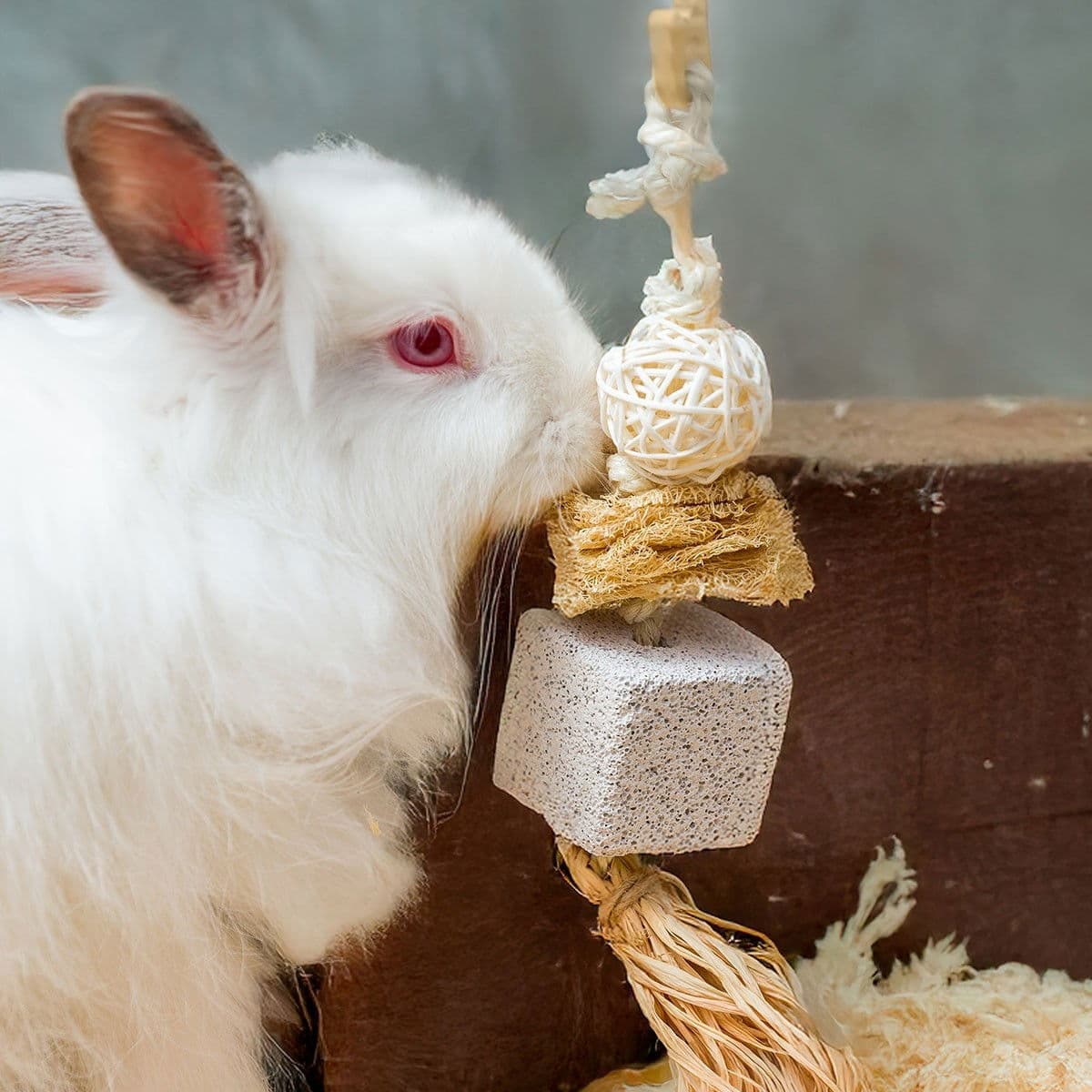 Quapas! Rodent Natural 1, pieneläimen puuhalelu – Quapas!