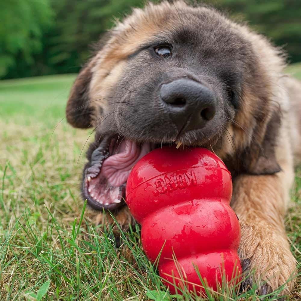 KONG Classic Original – Kong