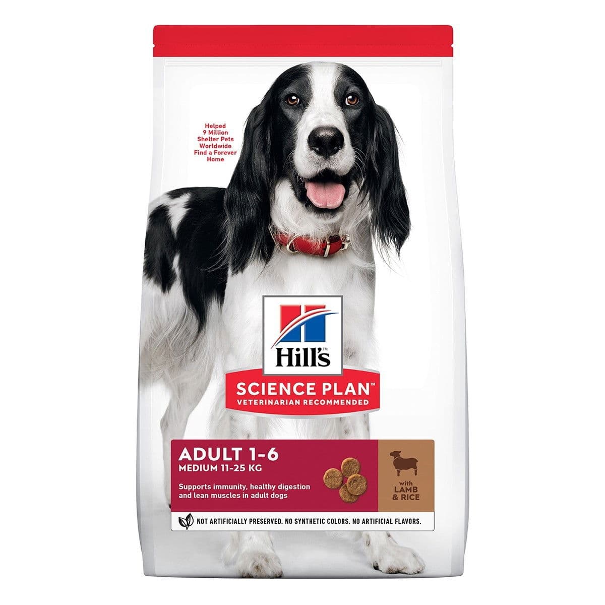 Hill's SP Adult Medium Lamb & Rice – Hill's