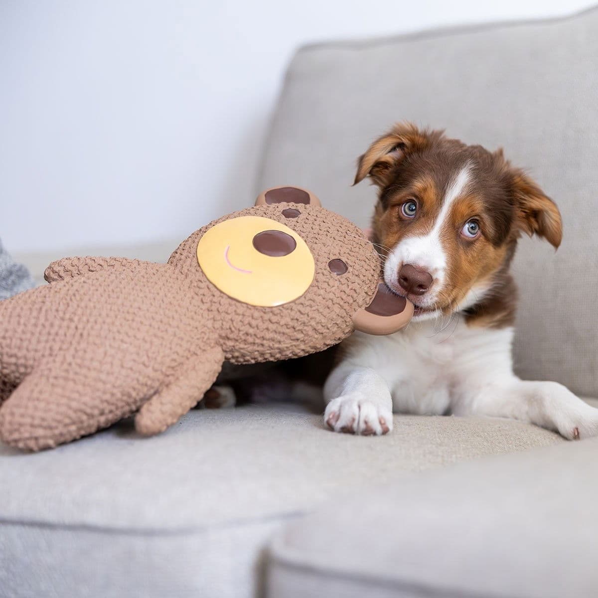 Quapas! Lateksinalle XXL – Quapas!