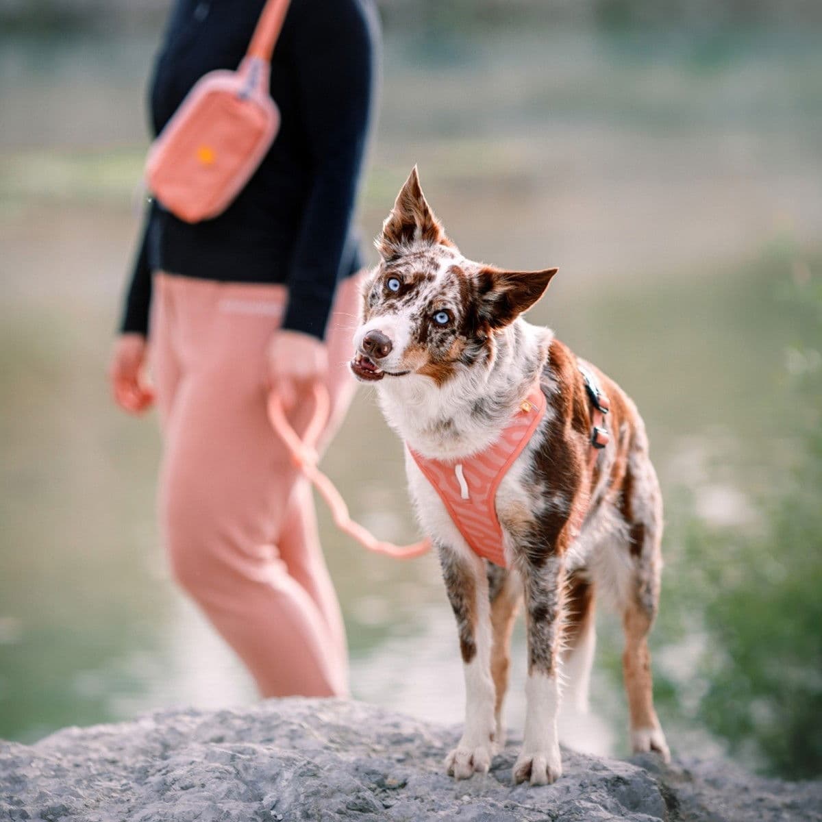 Woolly Wolf Roam valjaat, Salmon Pink Ripple – Woolly Wolf