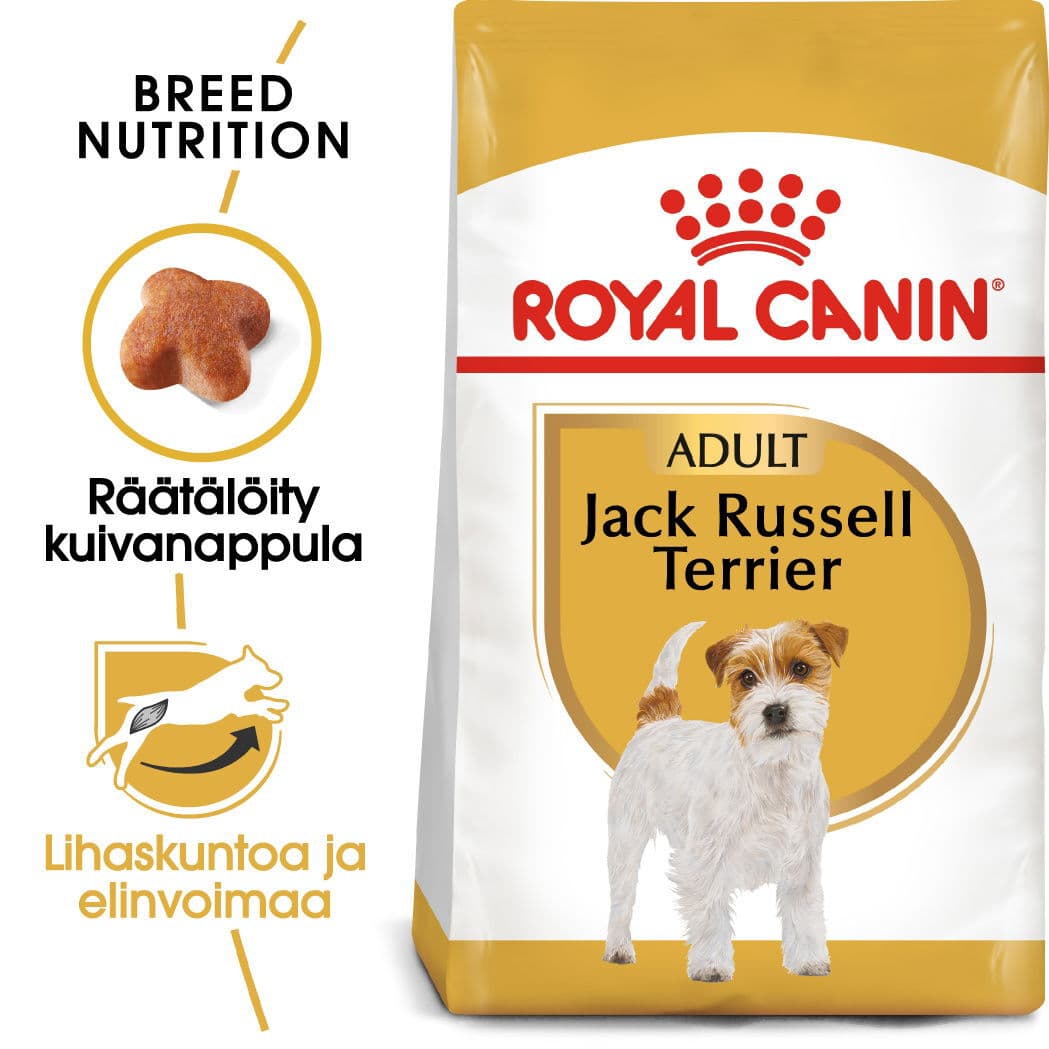 Royal Canin Jack Russel Adult – Royal Canin