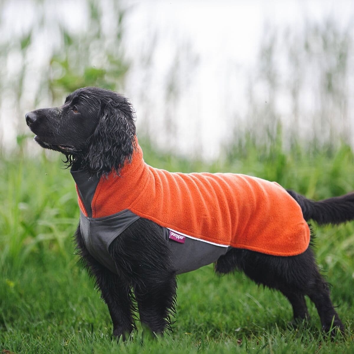 JumppaPomppa Habanero – Pomppa