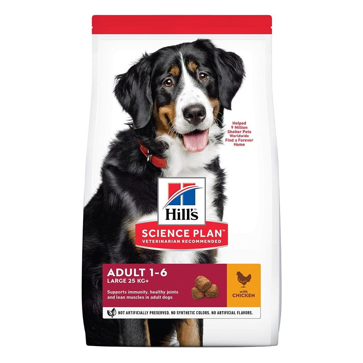 Hill's SP Adult Large Breed Chicken – Hill's