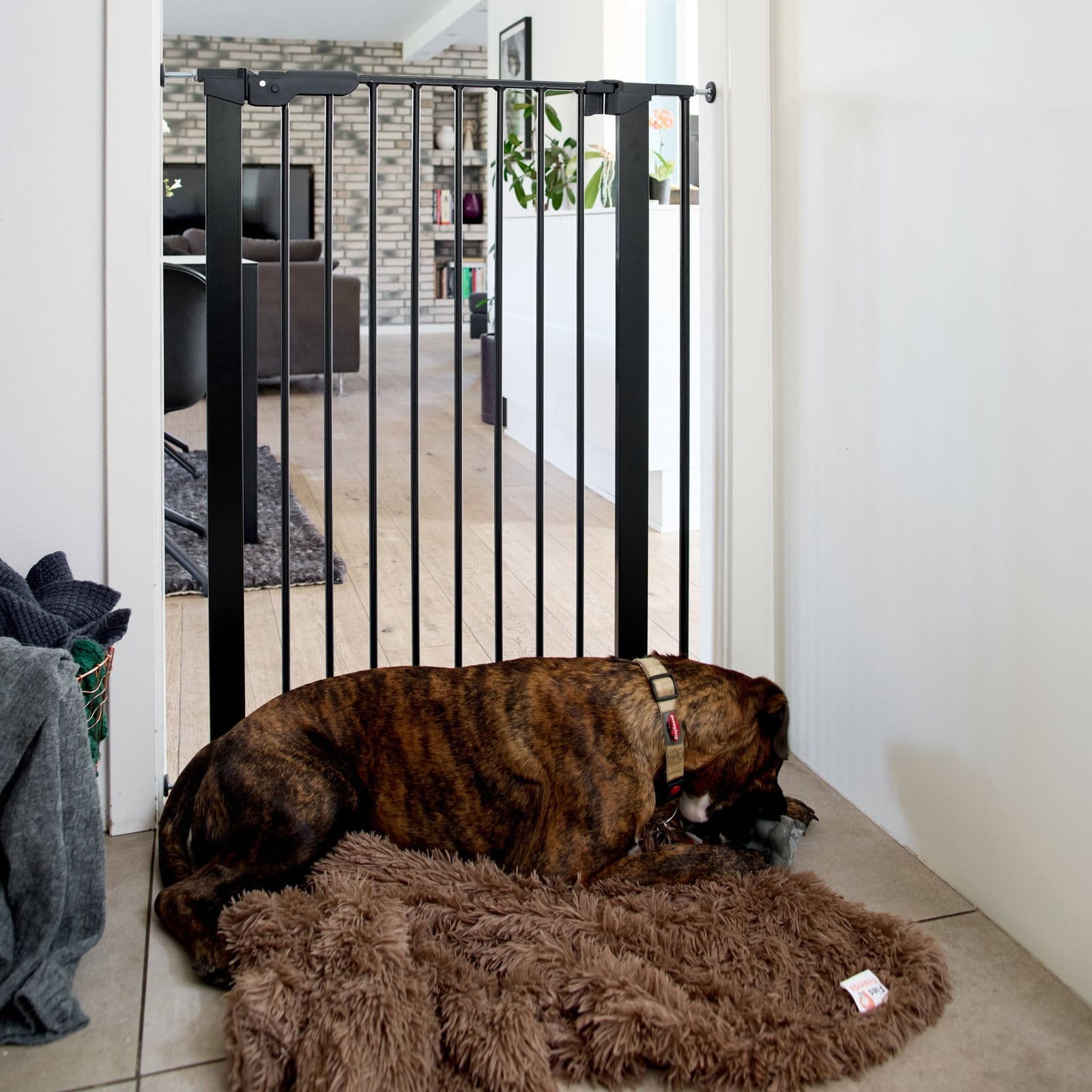 Korkea koiraportti DogSpace Bonnie 73,5-79,6 x 104,5 cm – DogSpace