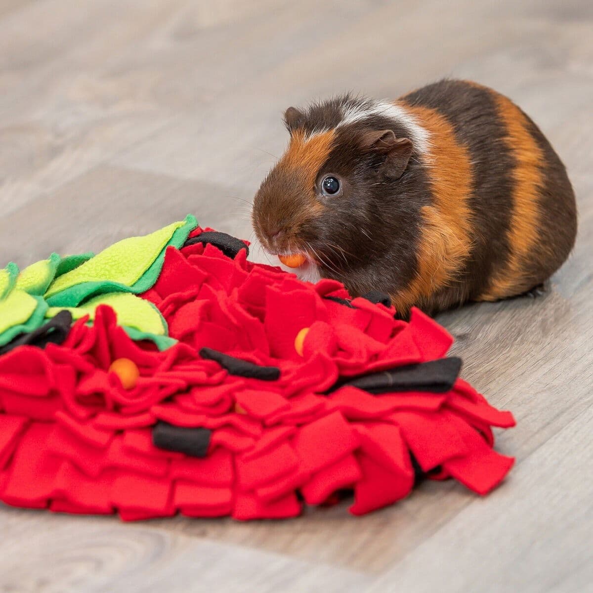 Trixie Aktivointimatto pieneläimille, mansikka – Trixie