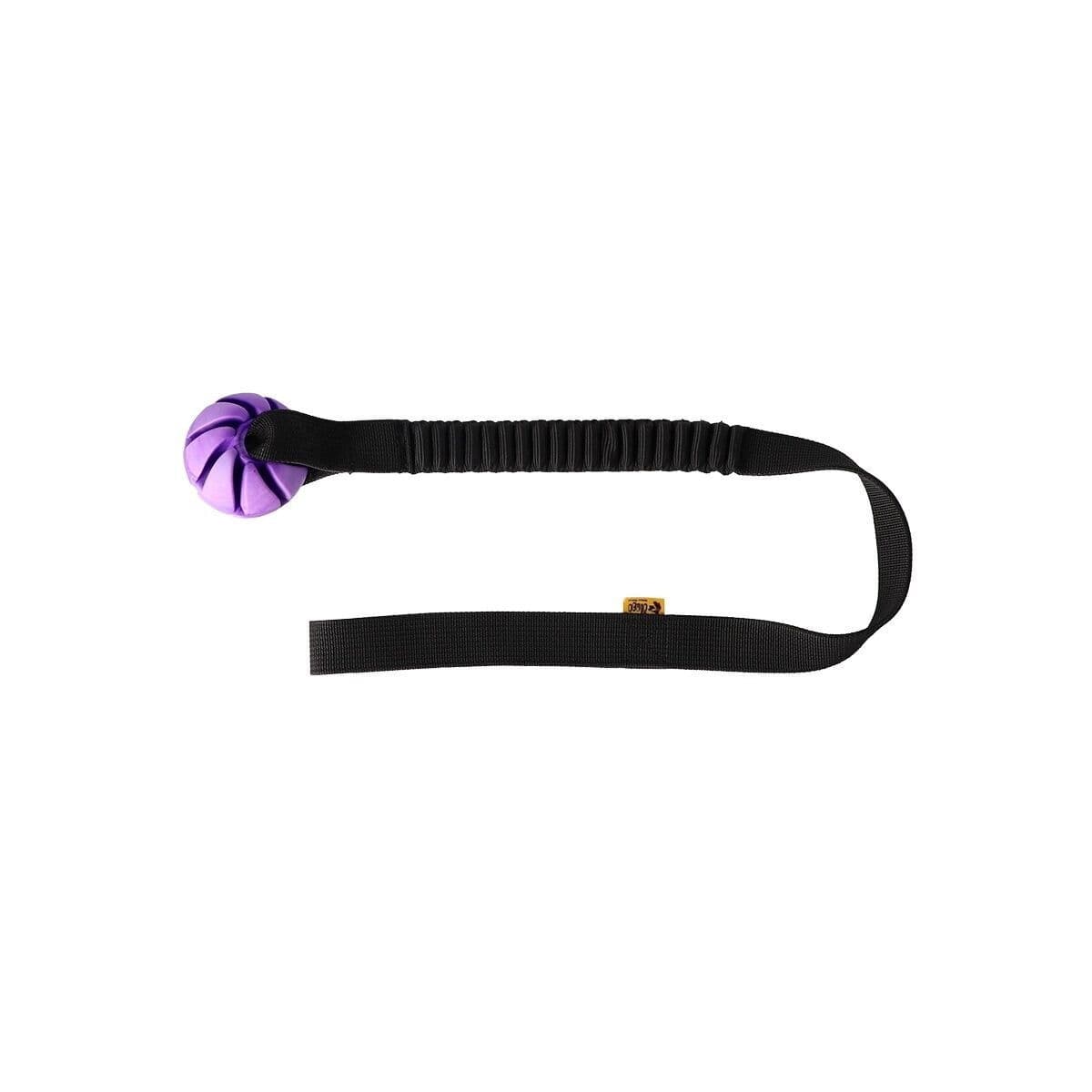 Dingo Bungee Vetolelu pallolla – Dingo